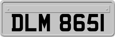 DLM8651