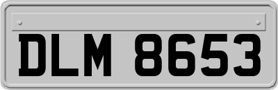 DLM8653