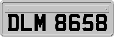 DLM8658