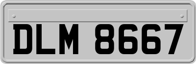 DLM8667