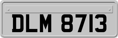 DLM8713