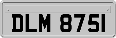 DLM8751