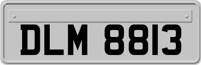 DLM8813