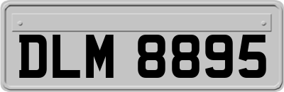 DLM8895