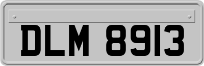 DLM8913