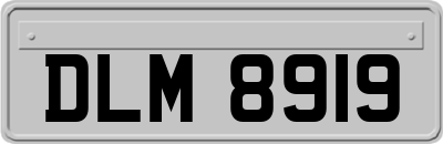 DLM8919
