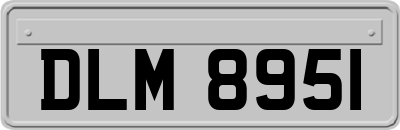 DLM8951