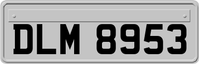 DLM8953