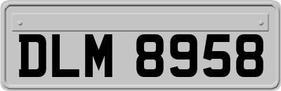 DLM8958