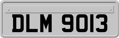 DLM9013