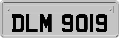 DLM9019