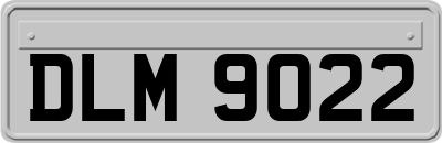 DLM9022