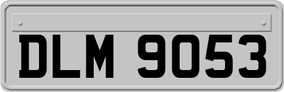DLM9053