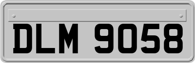 DLM9058