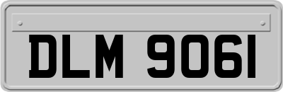 DLM9061