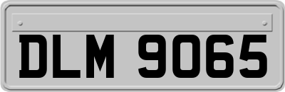DLM9065
