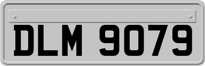 DLM9079