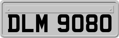 DLM9080