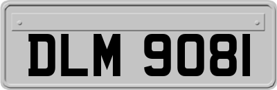 DLM9081