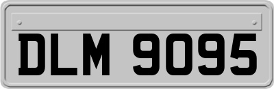 DLM9095