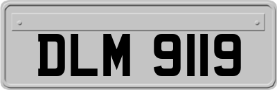 DLM9119