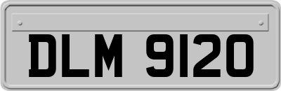 DLM9120