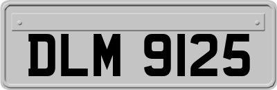 DLM9125