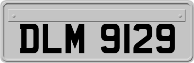 DLM9129