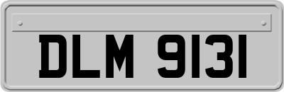 DLM9131