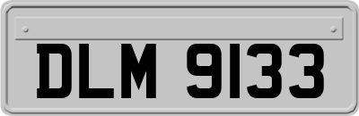 DLM9133
