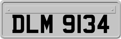 DLM9134