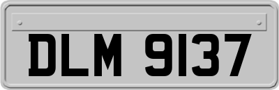 DLM9137