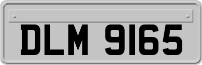 DLM9165