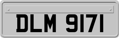DLM9171