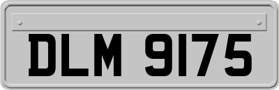 DLM9175
