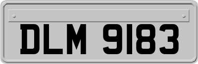 DLM9183