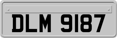 DLM9187
