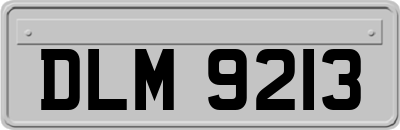 DLM9213