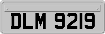 DLM9219