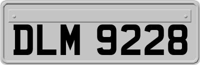 DLM9228
