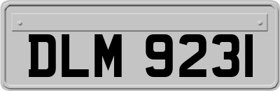 DLM9231