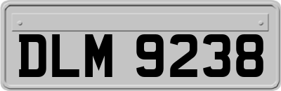 DLM9238