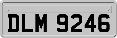 DLM9246