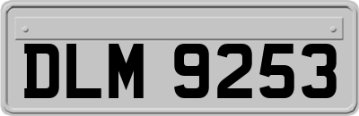 DLM9253