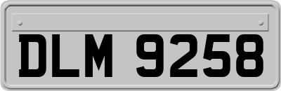 DLM9258