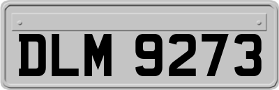 DLM9273