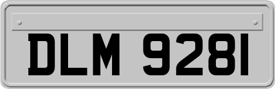 DLM9281