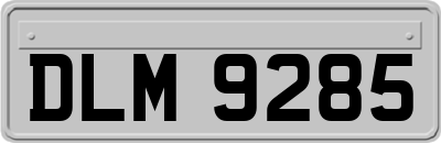 DLM9285