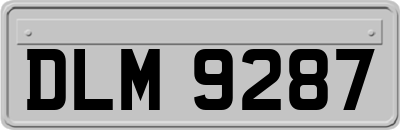 DLM9287