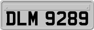 DLM9289